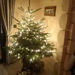 Kukulisko *