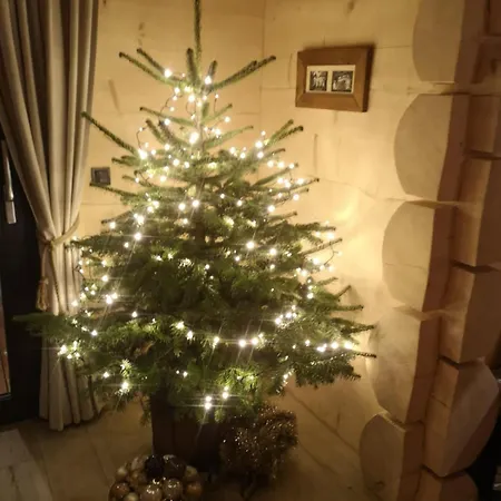 Kukulisko, Ferie Zimowe 2026, Wolne Terminy *