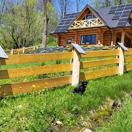 Kukulisko, 2026- Wolne Terminy! Bukowina Tatrzańska